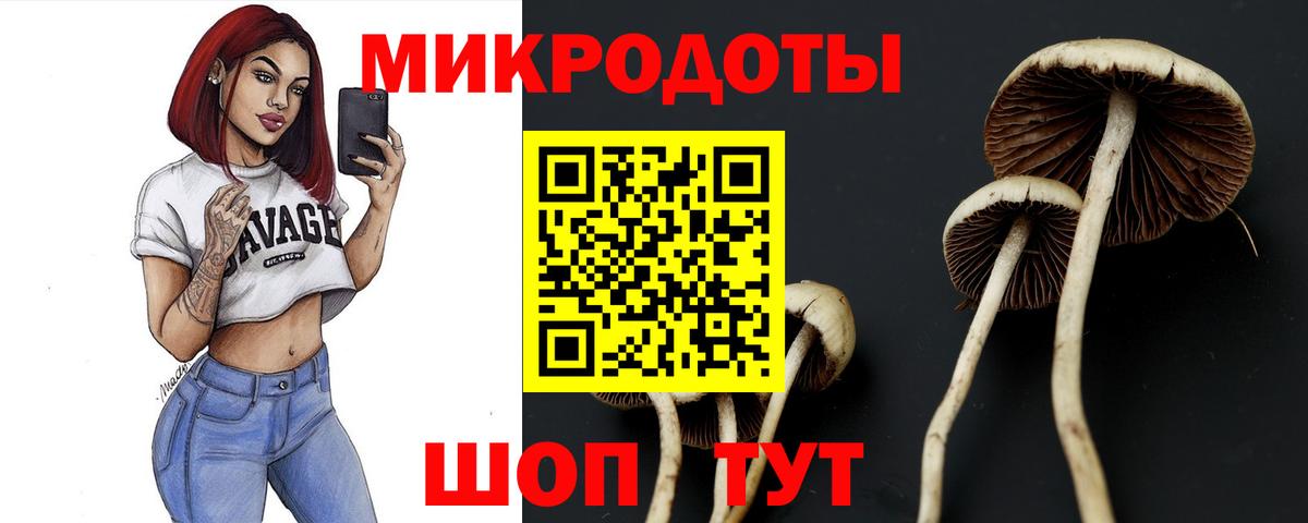 купить наркотики сайты  Псилоцибиновые грибы ЛСД  Вход с VPN  Верхняя Пышма 